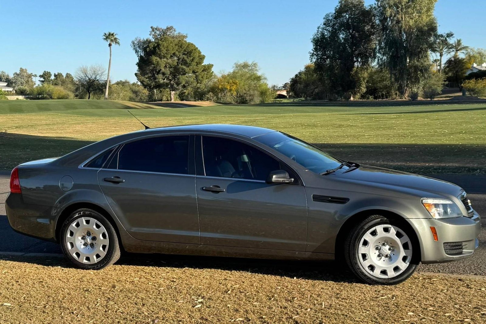 2013 Chevrolet Caprice image